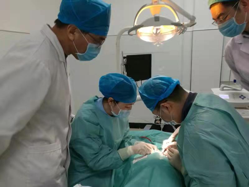 开云最新网址口腔科：守护健康第一关用心呵护患者口腔健康